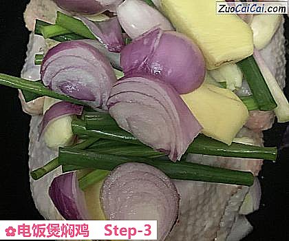 电饭煲焖鸡做法第三步骤