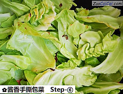 酱香手撕包菜做法第六步骤