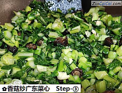 香菇炒广东菜心做法第三步骤