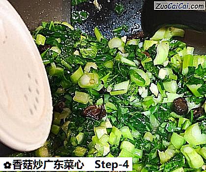 香菇炒广东菜心做法第四步骤