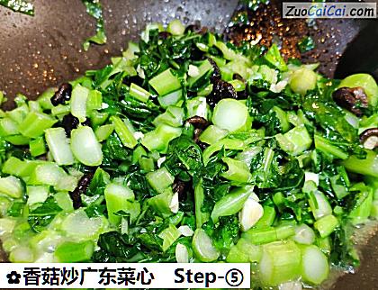 香菇炒广东菜心做法第五步骤