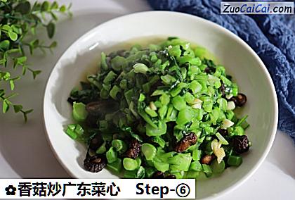 香菇炒广东菜心做法第六步骤