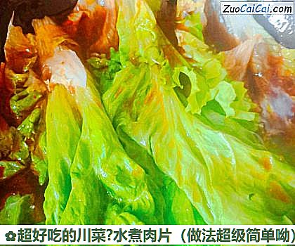 超好吃的川菜?水煮肉片做法第七步骤