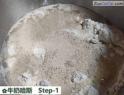 牛奶哈斯做法第一步骤