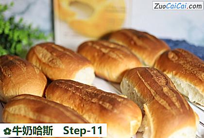 牛奶哈斯做法第十一步骤