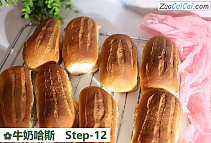 牛奶哈斯做法第十二步骤