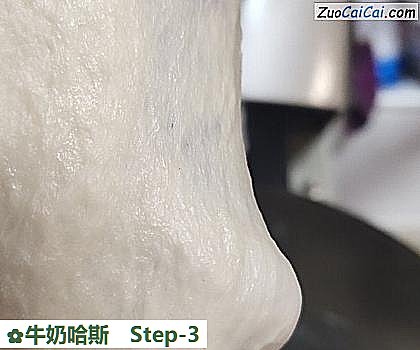 牛奶哈斯做法第三步骤