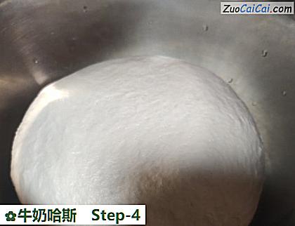 牛奶哈斯做法第四步骤