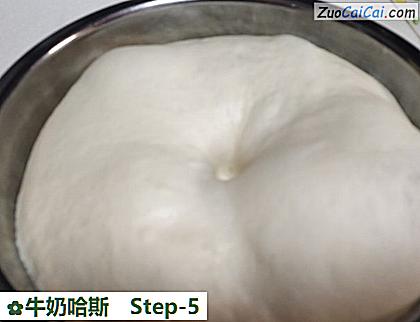 牛奶哈斯做法第五步骤