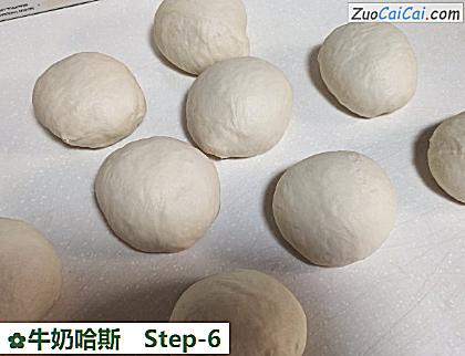 牛奶哈斯做法第六步骤