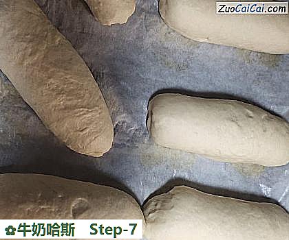 牛奶哈斯做法第七步骤