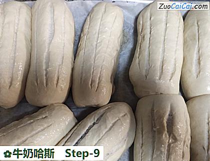 牛奶哈斯做法第九步骤