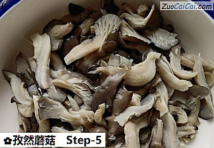 孜然蘑菇做法第五步骤