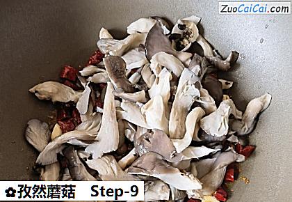 孜然蘑菇做法第九步骤
