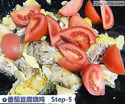 番茄豆腐烧鸡做法第五步骤