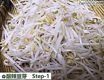 酸辣豆芽做法第一步骤