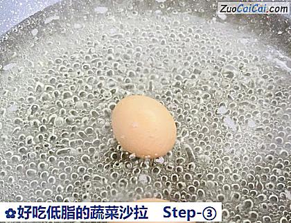 好吃低脂的蔬菜沙拉做法第三步骤