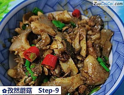 孜然蘑菇做法第九步骤