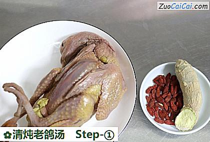 清炖老鸽汤做法第一步骤