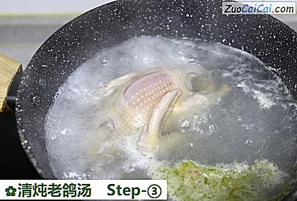 清炖老鸽汤做法第三步骤
