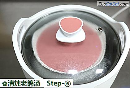 清炖老鸽汤做法第六步骤