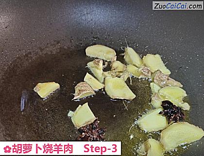 胡萝卜烧羊肉做法第三步骤