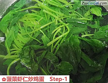菠菜虾仁炒鸡蛋做法第一步骤
