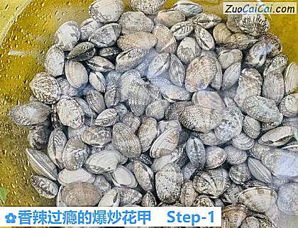 香辣过瘾的爆炒花甲做法第一步骤