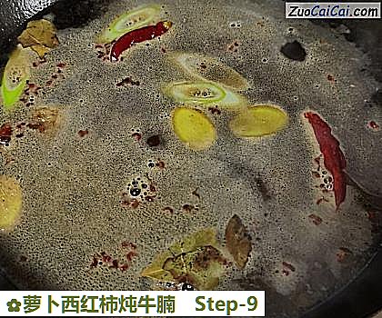 萝卜西红柿炖牛腩做法第九步骤