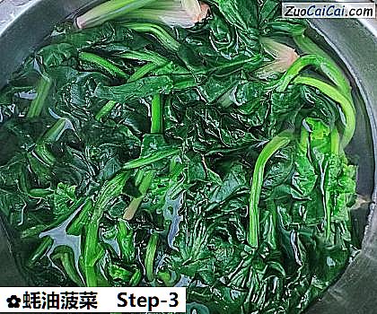 蚝油菠菜做法第三步骤