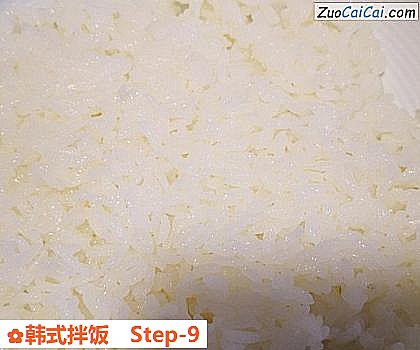 韩式拌饭做法第九步骤