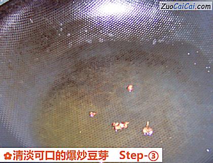 清淡可口的爆炒豆芽做法第三步骤