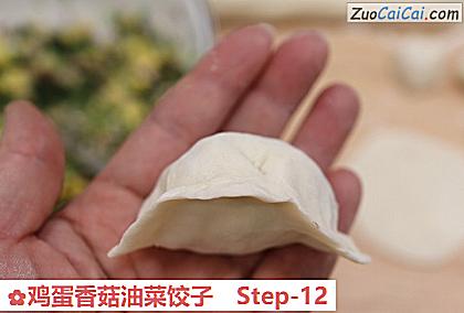 鸡蛋香菇油菜饺子做法第十二步骤