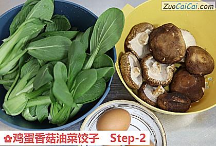 鸡蛋香菇油菜饺子做法第二步骤