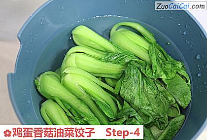 鸡蛋香菇油菜饺子做法第四步骤