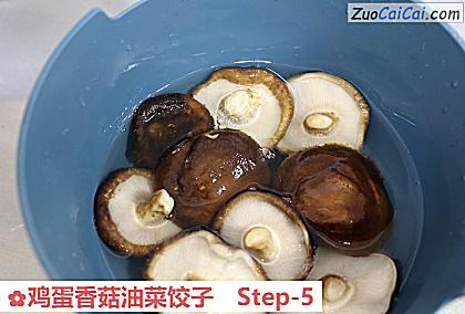 鸡蛋香菇油菜饺子做法第五步骤