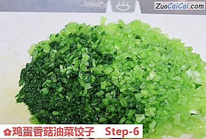 鸡蛋香菇油菜饺子做法第六步骤