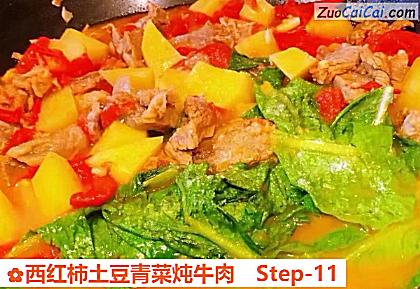 西红柿土豆青菜炖牛肉做法第十一步骤