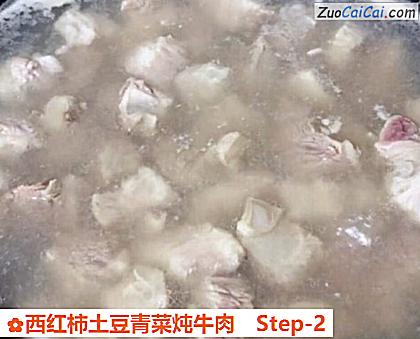西红柿土豆青菜炖牛肉做法第二步骤