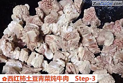 西红柿土豆青菜炖牛肉做法第三步骤