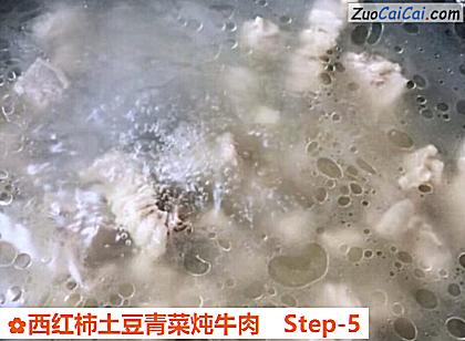 西红柿土豆青菜炖牛肉做法第五步骤