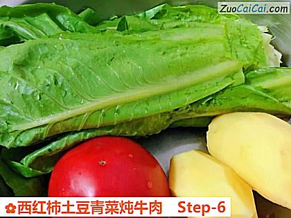 西红柿土豆青菜炖牛肉做法第六步骤