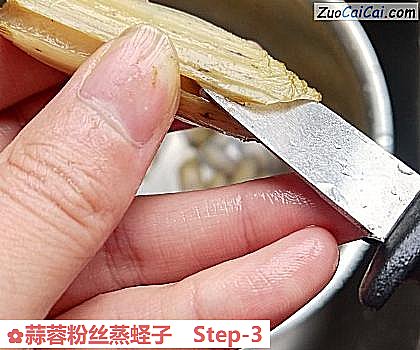 蒜蓉粉丝蒸蛏子做法第三步骤