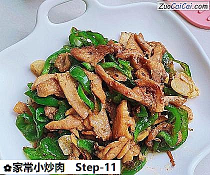 家常小炒肉做法第十一步骤
