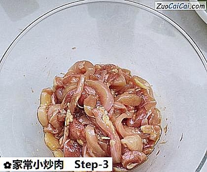 家常小炒肉做法第三步骤