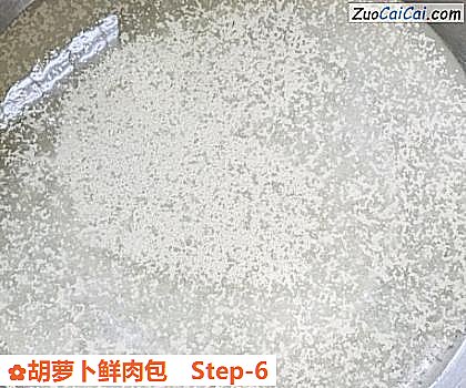 胡萝卜鲜肉包做法第六步骤