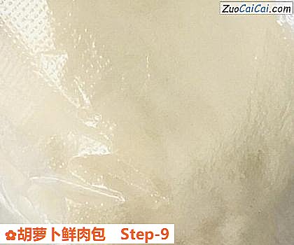 胡萝卜鲜肉包做法第九步骤