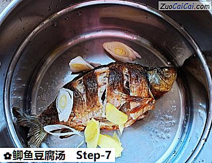 鲫鱼豆腐汤做法第七步骤