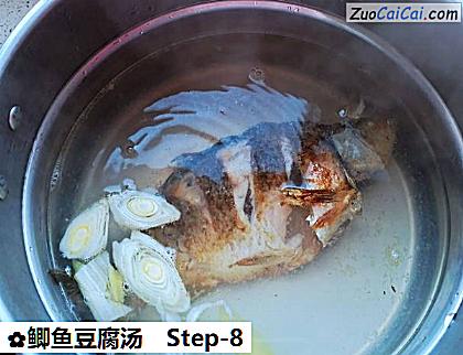 鲫鱼豆腐汤做法第八步骤