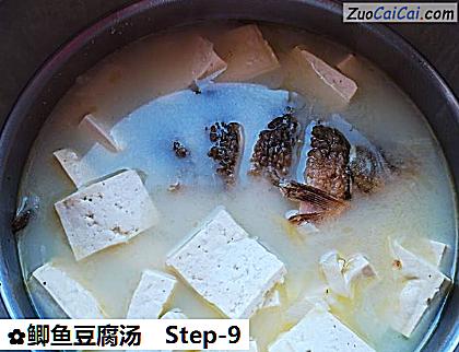 鲫鱼豆腐汤做法第九步骤